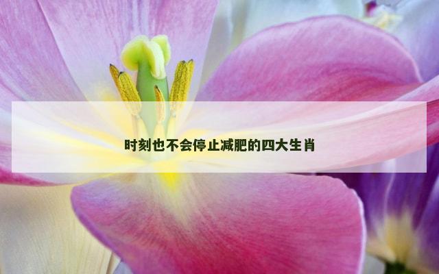 时刻也不会停止减肥的四大生肖