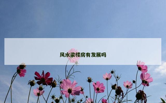 风水梁楼房有发展吗