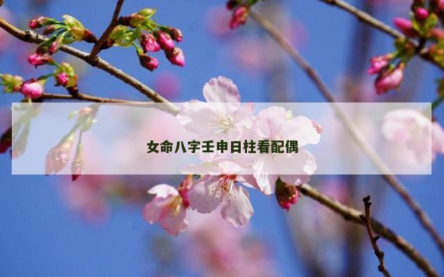 女命八字壬申日柱看配偶