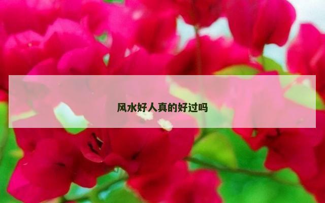 风水好人真的好过吗
