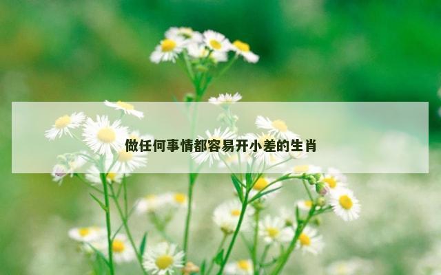 做任何事情都容易开小差的生肖