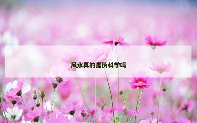 风水真的是伪科学吗