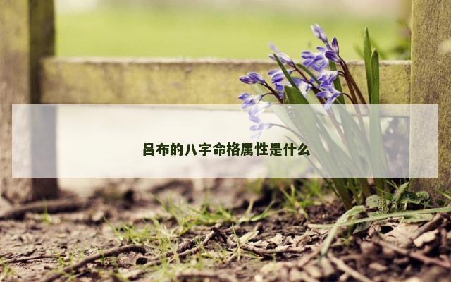 吕布的八字命格属性是什么