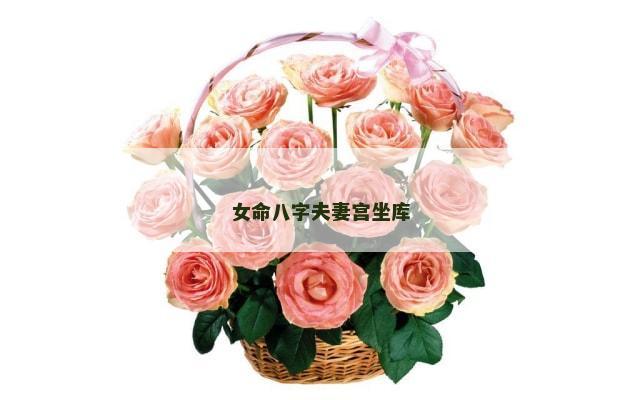女命八字夫妻宫坐库