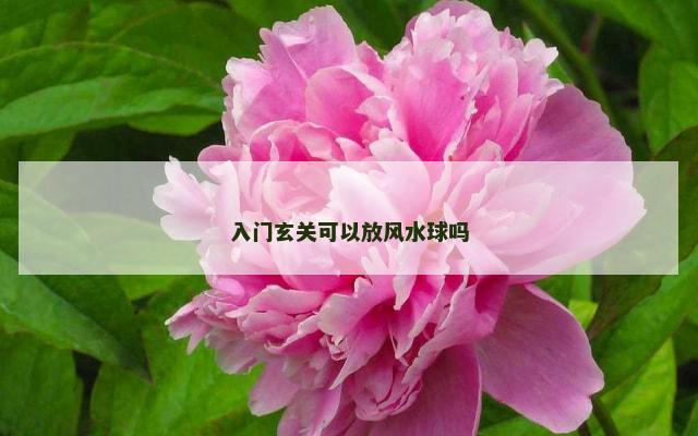 入门玄关可以放风水球吗