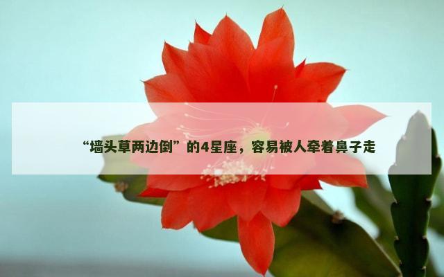 “墙头草两边倒”的4星座，容易被人牵着鼻子走