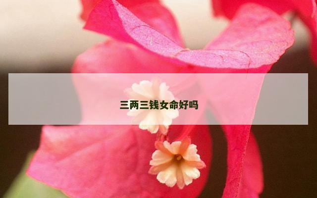 三两三钱女命好吗