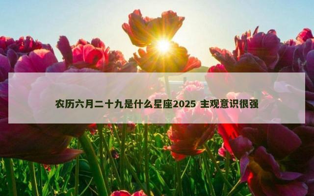 农历六月二十九是什么星座2025 主观意识很强