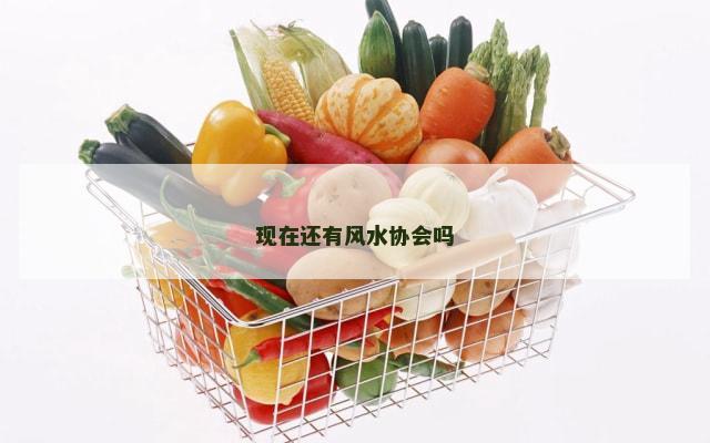 现在还有风水协会吗