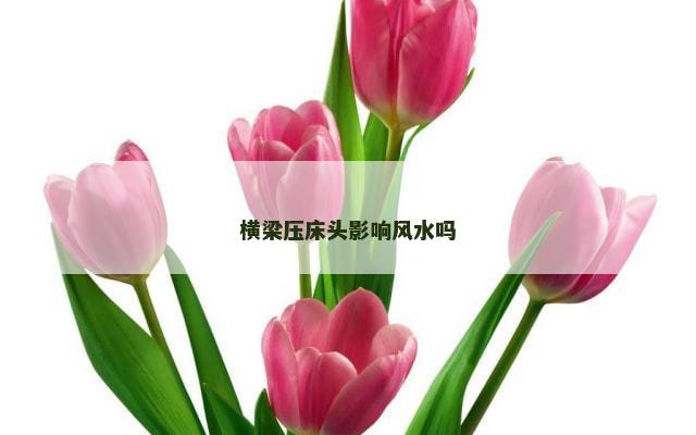 横梁压床头影响风水吗