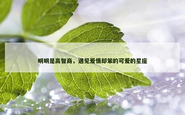 明明是高智商，遇见爱情却笨的可爱的星座
