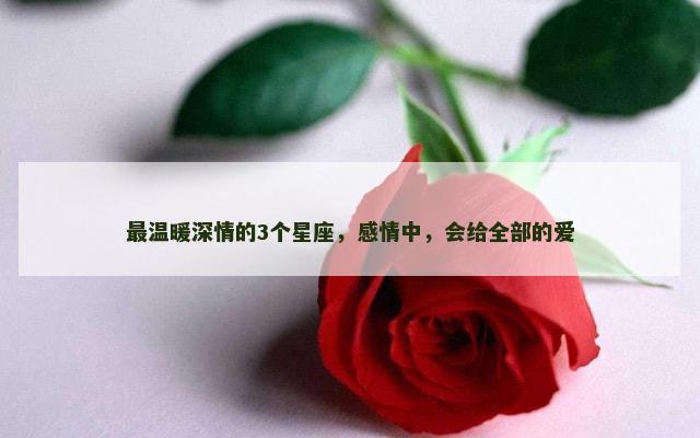 最温暖深情的3个星座，感情中，会给全部的爱