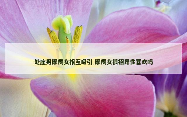 处座男摩羯女相互吸引 摩羯女很招异性喜欢吗