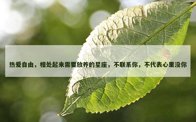 热爱自由，相处起来需要放养的星座，不联系你，不代表心里没你