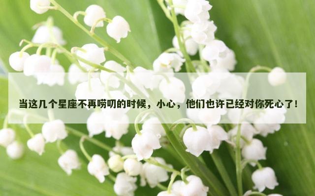 当这几个星座不再唠叨的时候，小心，他们也许已经对你死心了！