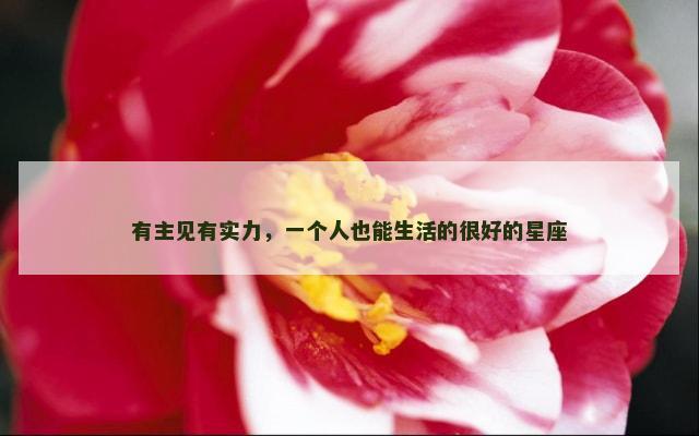 有主见有实力，一个人也能生活的很好的星座