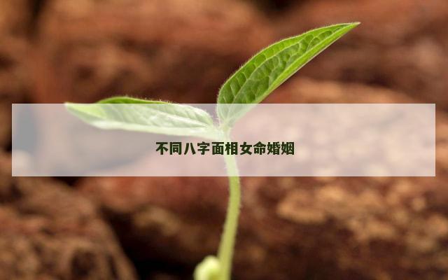 不同八字面相女命婚姻