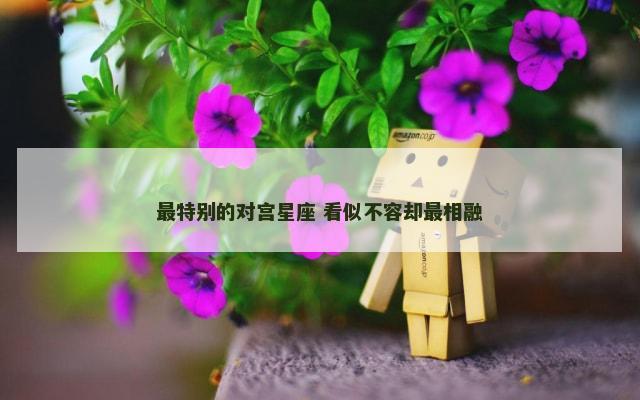 最特别的对宫星座 看似不容却最相融