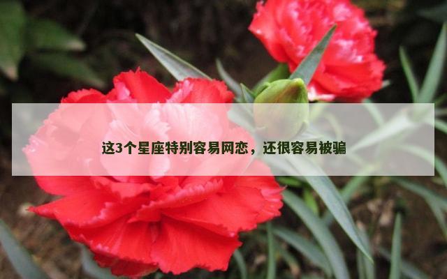 这3个星座特别容易网恋，还很容易被骗