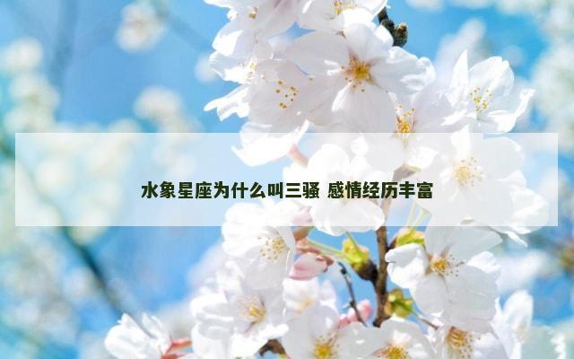 水象星座为什么叫三骚 感情经历丰富