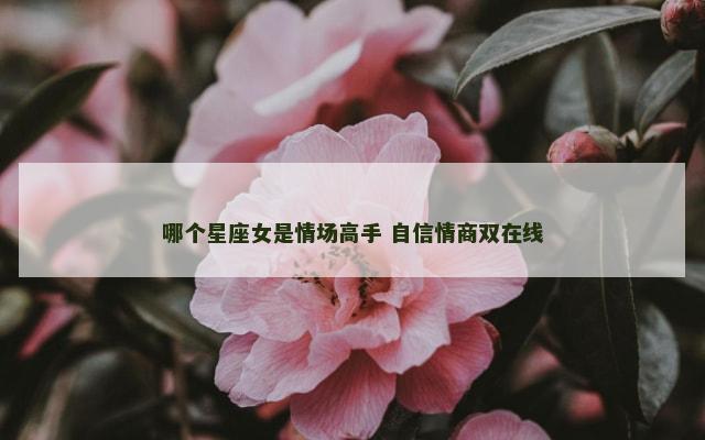 哪个星座女是情场高手 自信情商双在线
