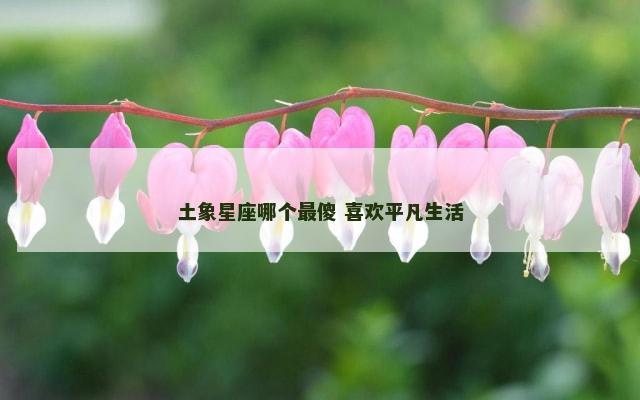 土象星座哪个最傻 喜欢平凡生活