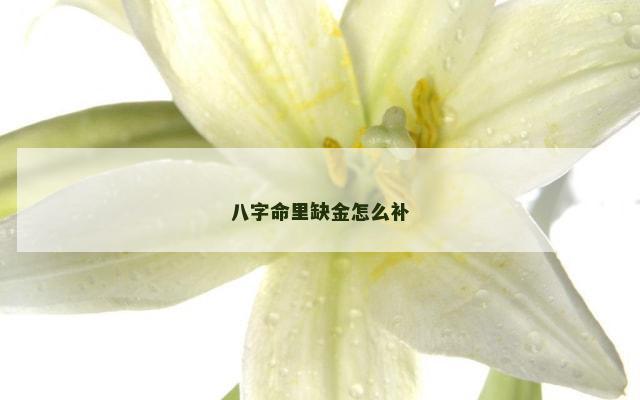 八字命里缺金怎么补