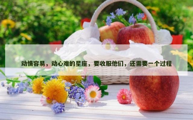 动情容易，动心难的星座，要收服他们，还需要一个过程