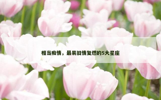 相当痴情，最易旧情复燃的5大星座
