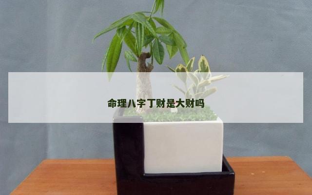 命理八字丁财是大财吗