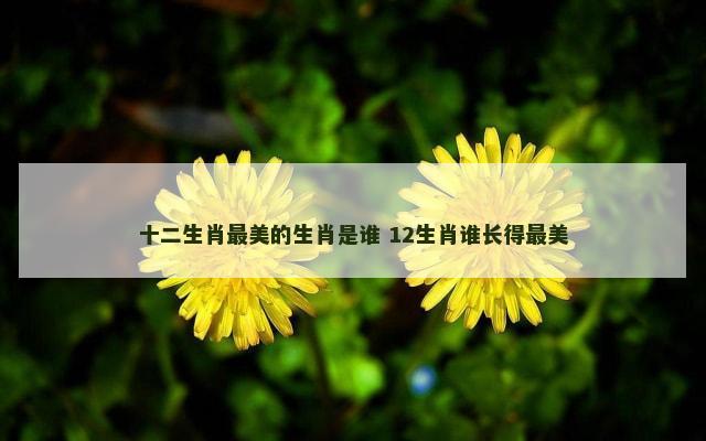 十二生肖最美的生肖是谁 12生肖谁长得最美