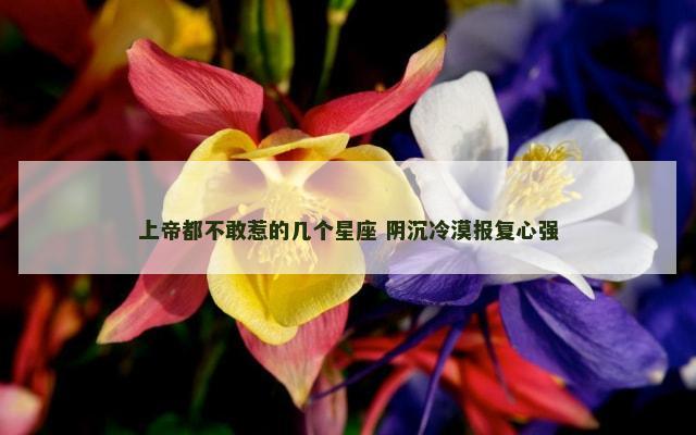 上帝都不敢惹的几个星座 阴沉冷漠报复心强