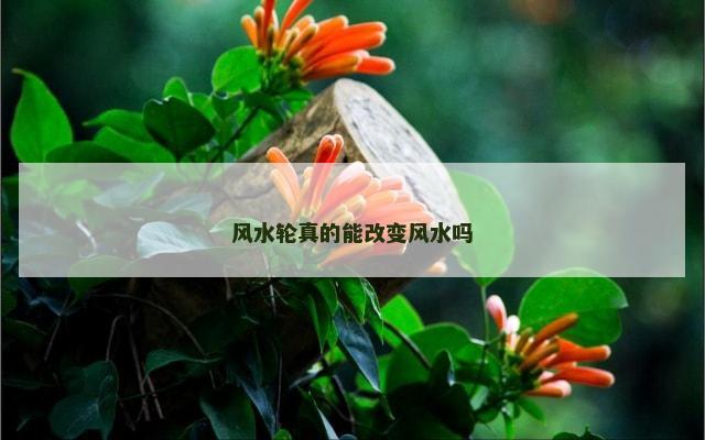 风水轮真的能改变风水吗