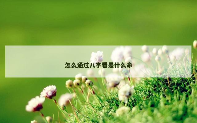怎么通过八字看是什么命