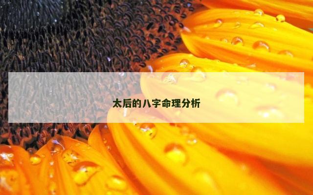 太后的八字命理分析