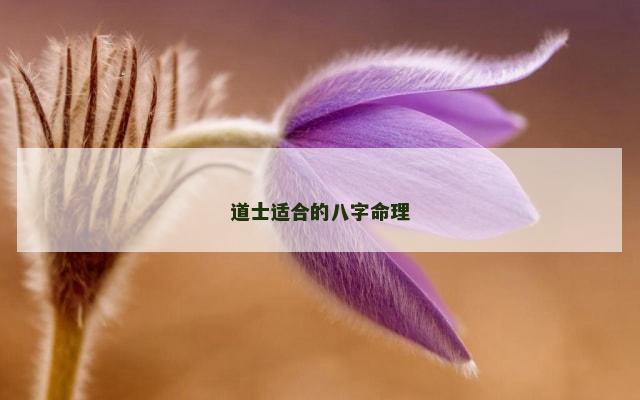 道士适合的八字命理