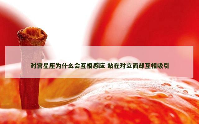 对宫星座为什么会互相感应 站在对立面却互相吸引