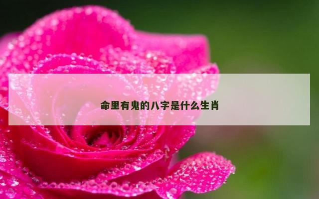 命里有鬼的八字是什么生肖