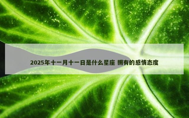 2025年十一月十一日是什么星座 拥有的感情态度