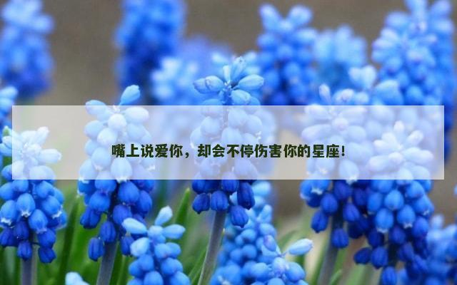 嘴上说爱你，却会不停伤害你的星座！