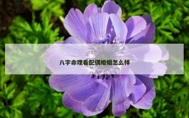 八字命理看配偶婚姻怎么样