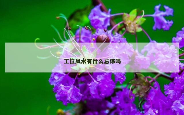 工位风水有什么忌讳吗