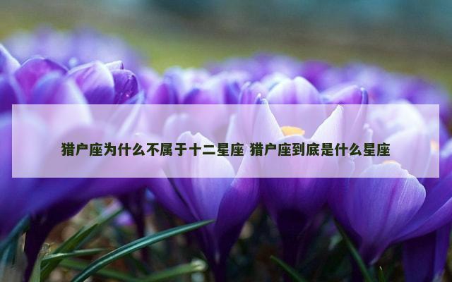 猎户座为什么不属于十二星座 猎户座到底是什么星座