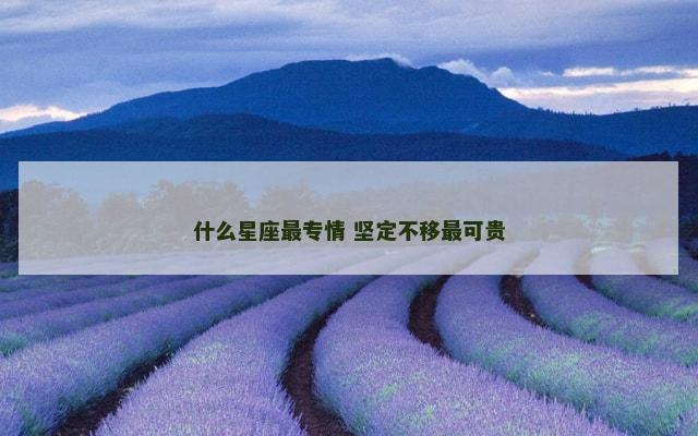 什么星座最专情 坚定不移最可贵