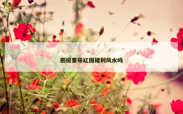 厨房里带红围裙利风水吗