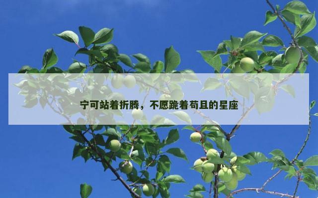 宁可站着折腾，不愿跪着苟且的星座