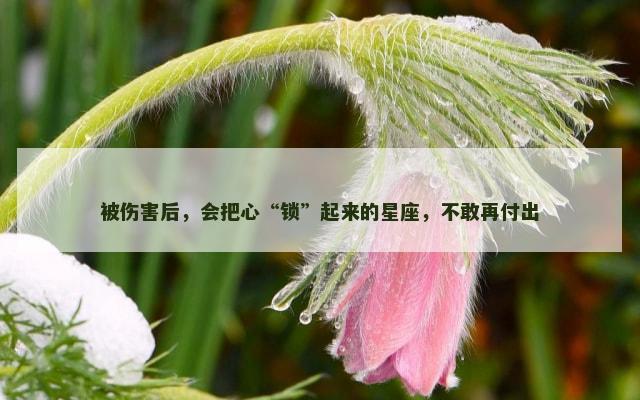 被伤害后，会把心“锁”起来的星座，不敢再付出