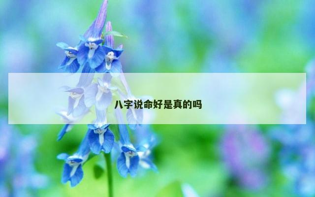 八字说命好是真的吗