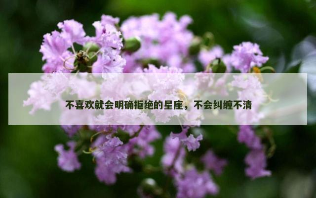 不喜欢就会明确拒绝的星座，不会纠缠不清