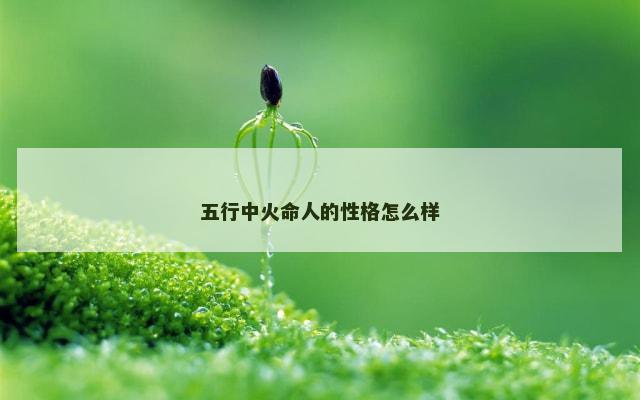 五行中火命人的性格怎么样